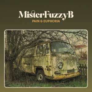 Album Misterfuzzyb: Pain And Euphoria