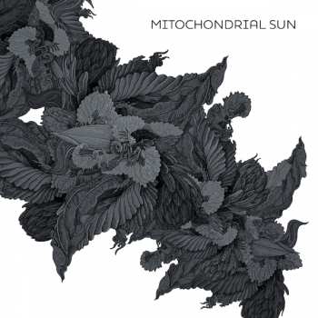 Album Mitochondrial Sun: Mitochondrial Sun