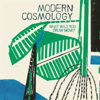 CD Modern Cosmology: What Will You Grow Now? 460150