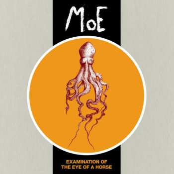 Album Moe: Examination Of The Eye Of A Horse