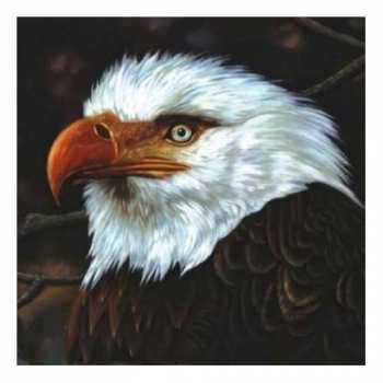 Album Mogwai: The Hawk Is Howling