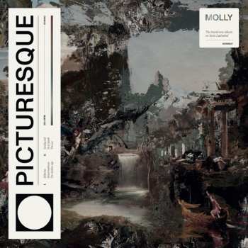 Album Molly: Picturesque