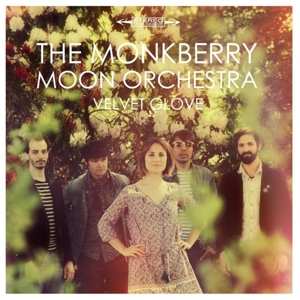 Album Monkberry Moon -orchestra: Velvet Glove