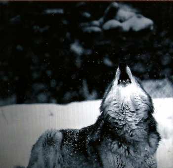 CD Moonspell: Wolfheart 40656