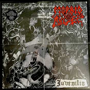 Morbid Angel: Juvenilia