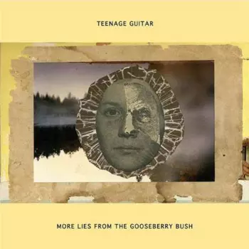 Teenage Guitar: More Lies From The Gooseberry Bush
