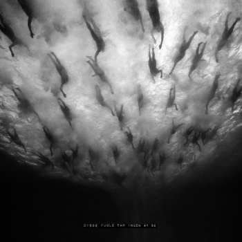 Album Morild: Disse Fugle Får Ingen At Se