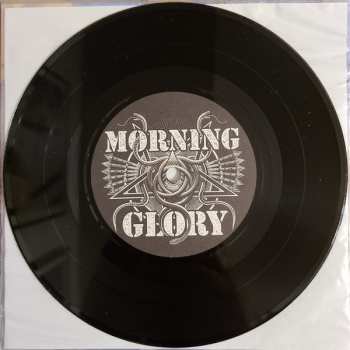 SP Morning Glory: Born To December 82354