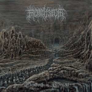 Album Mortiferum: Preserved In Torment