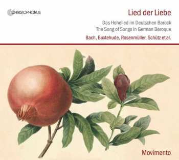 Album Movimento: Lied Der Liebe - Das Hohelied Salomos - Musik Des Deutschen Barock