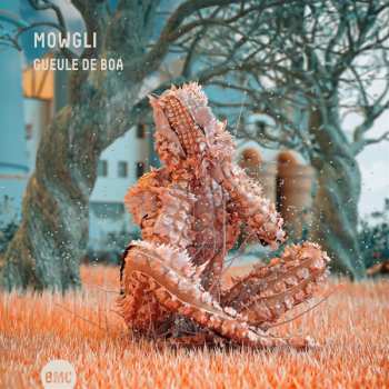 Album Mowgli: Gueule De Boa