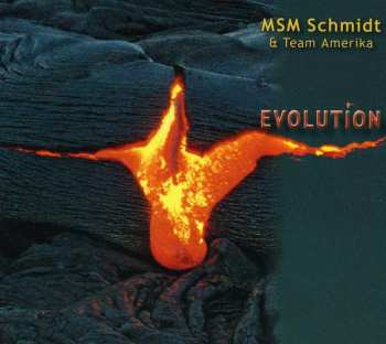 MSM Schmidt: Evolution