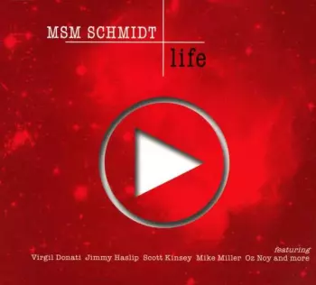 MSM Schmidt: Life