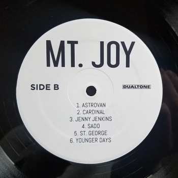 LP Mt. Joy: Mt. Joy 262877