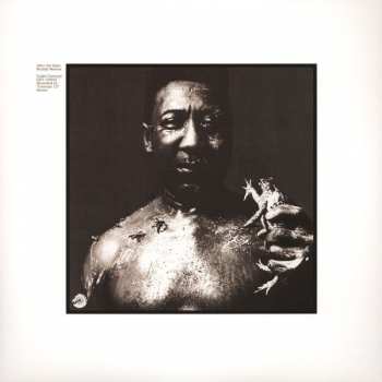 LP Muddy Waters: After The Rain 441159