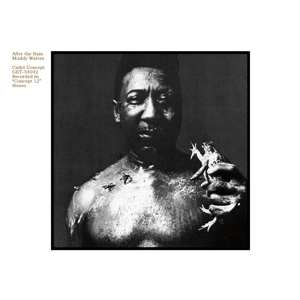 Album Muddy Waters: After The Rain