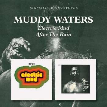 Album Muddy Waters: Experiment In Blues