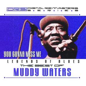 CD Muddy Waters: The Best Of Muddy Waters 444666