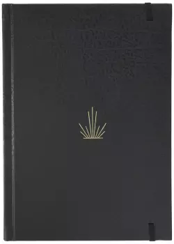 Mumford & Sons: Delta Diaries (Ltd. CD Book)