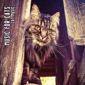 Album Music For Cats: Cat Music