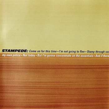 CD Mustang Ford: Stampede