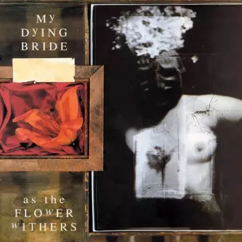 My Dying Bride: As The Flower Withers