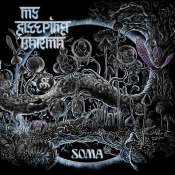 Album My Sleeping Karma: Soma