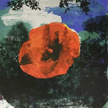 LP Mystic Braves: The Great Unknown