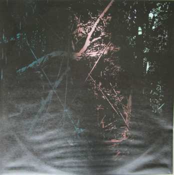 LP Nada Surf: The Stars Are Indifferent To Astronomy