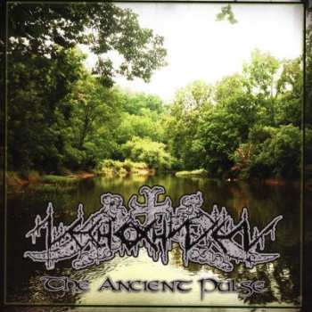 Album Nechochwen: The Ancient Pulse