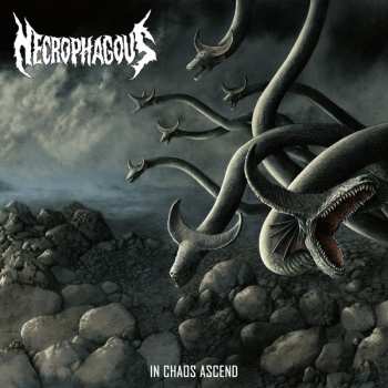 Album Necrophagous: In Chaos Ascend