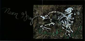 CD Neko Case: Neon Grey Midnight Green