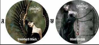 Album Netherbird: Boulevard Black / Black Orchid
