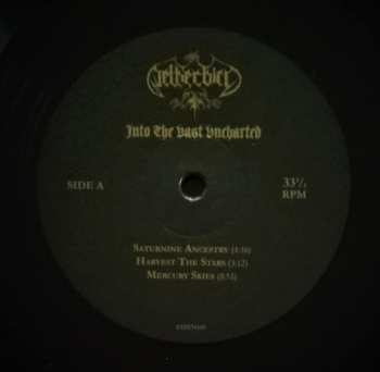 LP Netherbird: Into The Vast Uncharted 307159