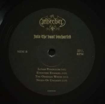 LP Netherbird: Into The Vast Uncharted 307159