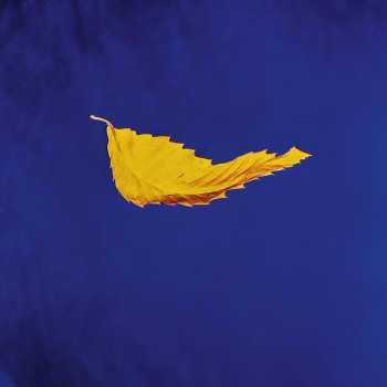 LP New Order: True Faith 491684