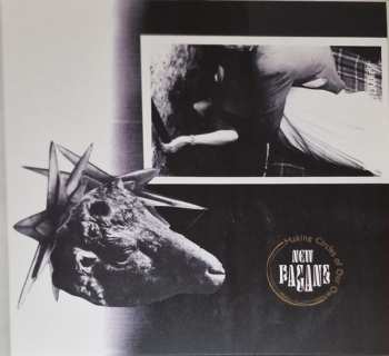 Album New Pagans: Making Circles Of Our Own
