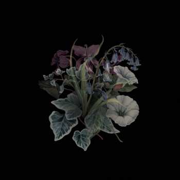 Album Nhor: Wildflowers