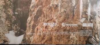 LP Nick Cave & Warren Ellis: La Panthère Des Neiges LTD | PIC 288349