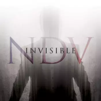 Nick D'Virgilio: Invisible