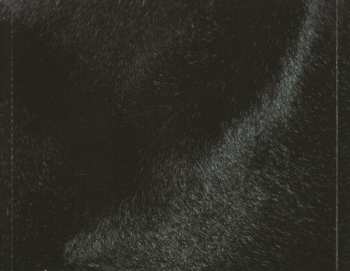 CD Nickelback: Dark Horse