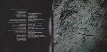 CD Nickelback: Dark Horse 8680