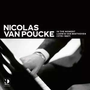 Nicolas van Poucke: In The Moment