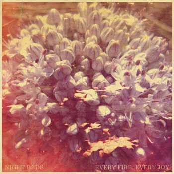 Album Night Beds: Every Fire; Every Joy