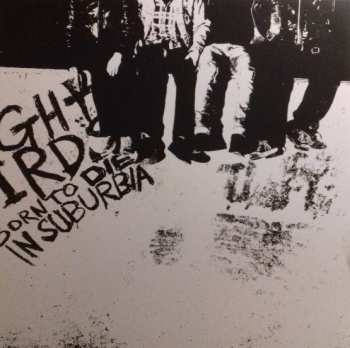 LP Night Birds: Born To Die In Suburbia 494585