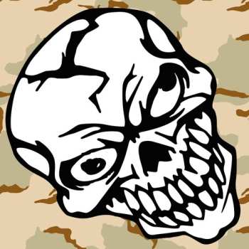 CD Night Skinny: Containers