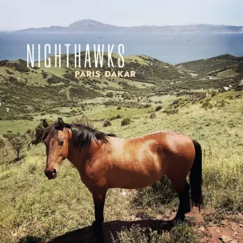 Nighthawks: Paris Dakar