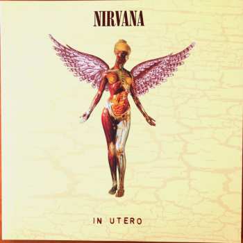 8LP/Box Set Nirvana: In Utero DLX | LTD
