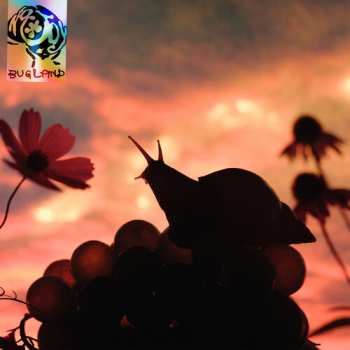 Album No Joy: Bugland