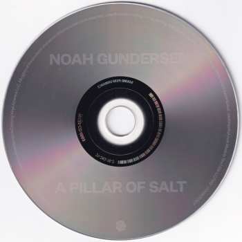 CD Noah Gundersen: A Pillar Of Salt 91952